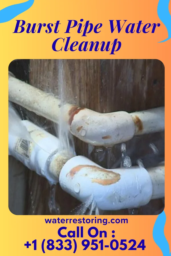 Burst Pipe Water Cleanup in Brandon, MS