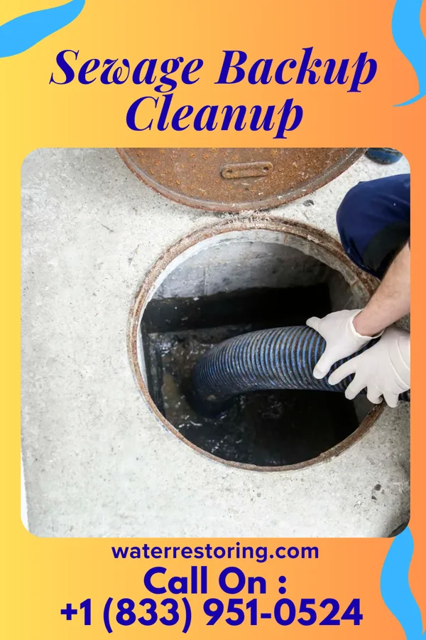 Sewage Backup Cleanup in Brandon, MS
