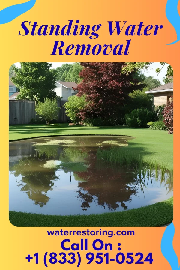 Standing Water Removal in Brandon, MS